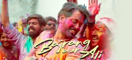 Bajrang Aur Ali (2024) Hindi Dubbed CAMRip x264 AAC 1080p 720p Download