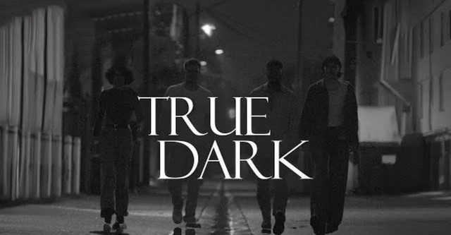 True Dark (2024) Hindi 720p WEBRip x264 AAC