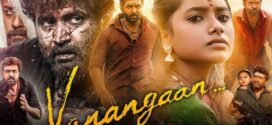 Vanangaan (2025) Hindi 1080p 720p 480p WEB-DL x264 AAC