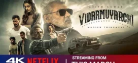 Vidaamuyarchi (2025) Dual Audio [Hindi ORG-Tamil] NetFlix H264 AAC 4K 1080p 720p 480p ESub