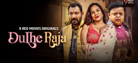 Dulhe Raja (2025) S01E07T08 Hindi 9RedMovies Hot Series 1080p Watch Online