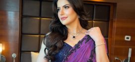 Bollywood Actress – Zareen Khan (2025) Hindi Uncut Hot Short Film 480p Watch Online