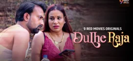 Dulhe Raja (2025) (2025) S01E09T10 Hindi 9RedMovies Hot Series 1080p Watch Online