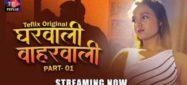 Gharwali Baharwali (2025) (2025) S01E01T02 Hindi TeFlix Hot Series 1080p Watch Online
