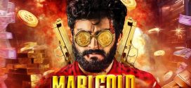 Marigold 2025 Hindi Dubbed Movie ORG 720p WEB-DL 1Click Download