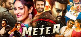 Meter (2023) Dual Audio [Hindi ORG-Telugu] WEB-DL H264 AAC 1080p 720p 480p ESub
