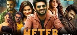 Meter 2025 Hindi Dubbed Movie ORG 720p WEBRip 1Click Download