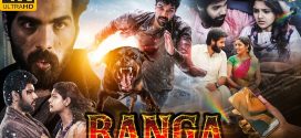 Ranga (2022) Dual Audio [Hindi ORG-Tamil] WEB-DL H264 AAC 1080p 720p 480p ESub