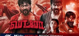 Retro (2025) Dual Audio [Hindi ORG-Tamil] NetFlix WEB-DL H264 AAC 1080p 720p 480p ESub