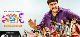 Wanted Pandugod 2025 Hindi Dubbed Movie ORG 720p WEBRip 1Click Download