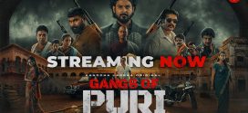 Gangs of Puri (2025) S02 Odia KL WEB-DL H264 AAC 1080p 720p 480p Download